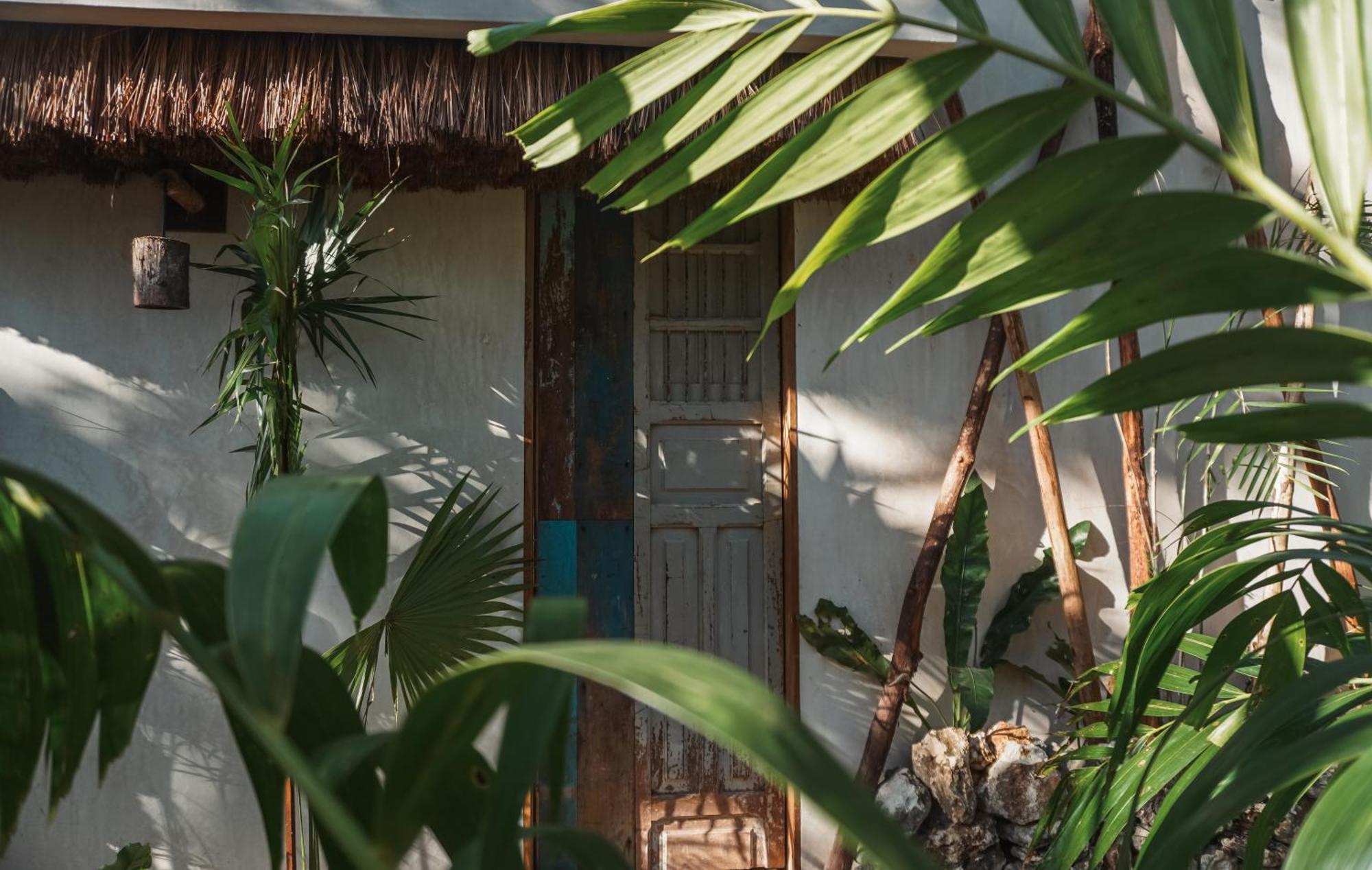 Naya Bacalar Lagoon Front Hotel Luaran gambar